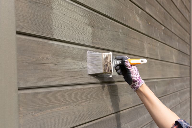 Exterior Cladding Painting