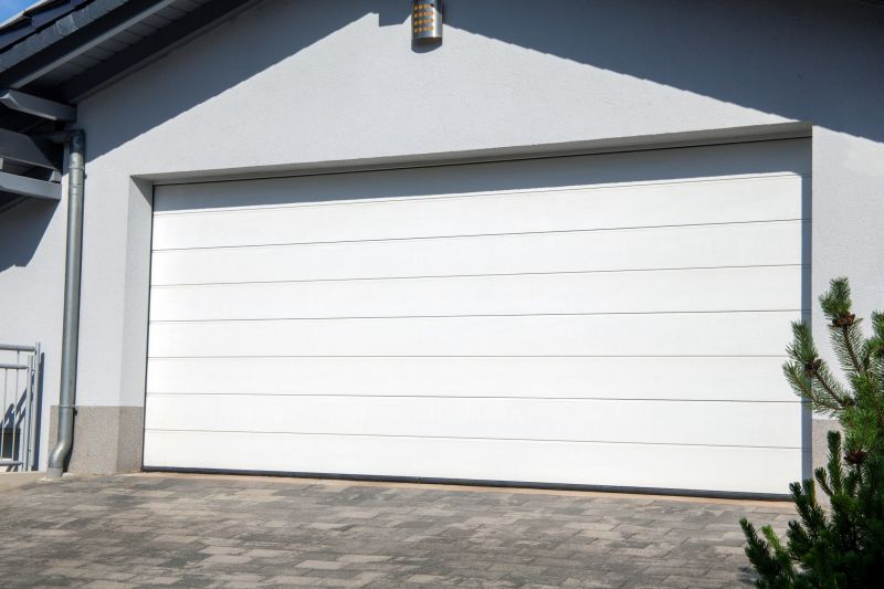 Garage and Door Painting