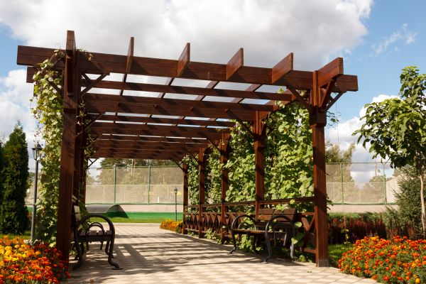 Pergola Wood Staining