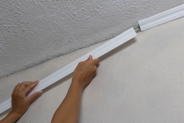 House Trim Renewal